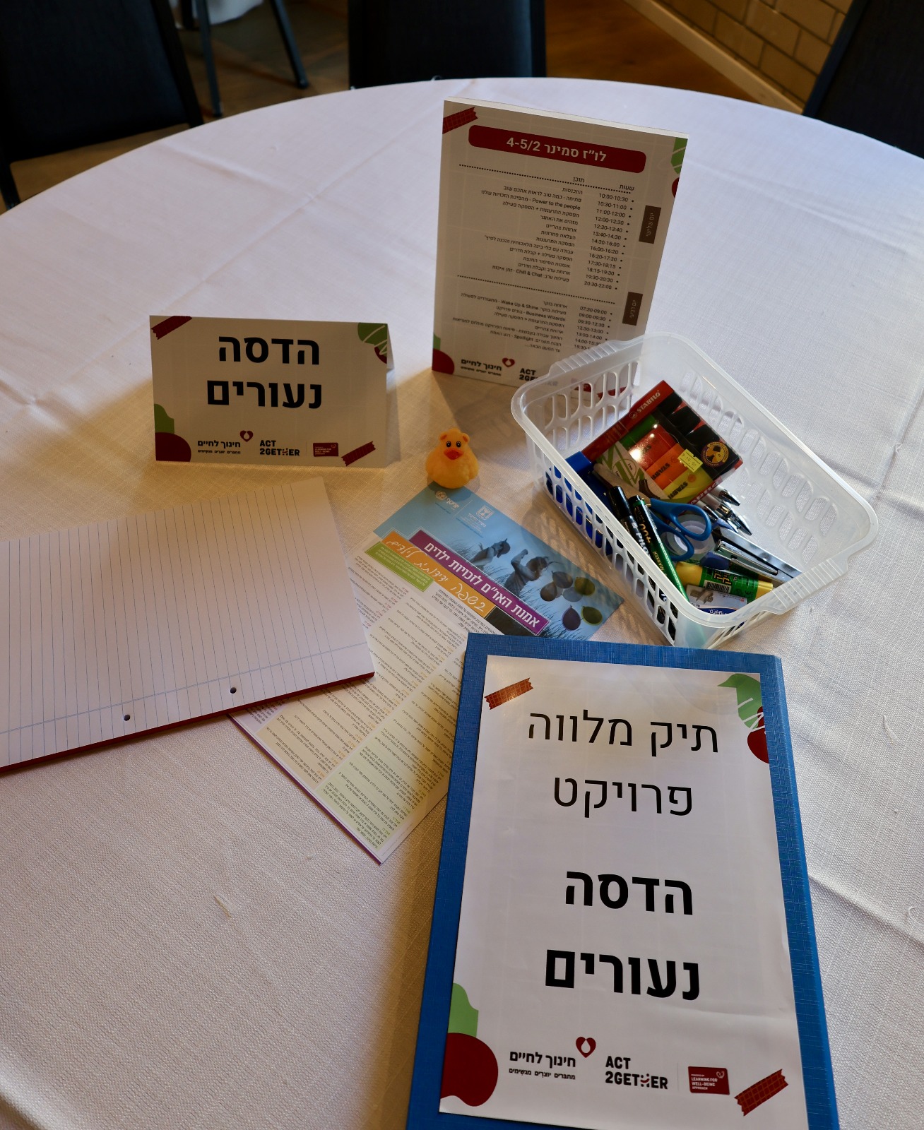 הדסה (19)