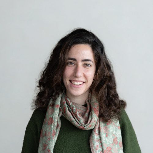 שירה - נערך - נערך
