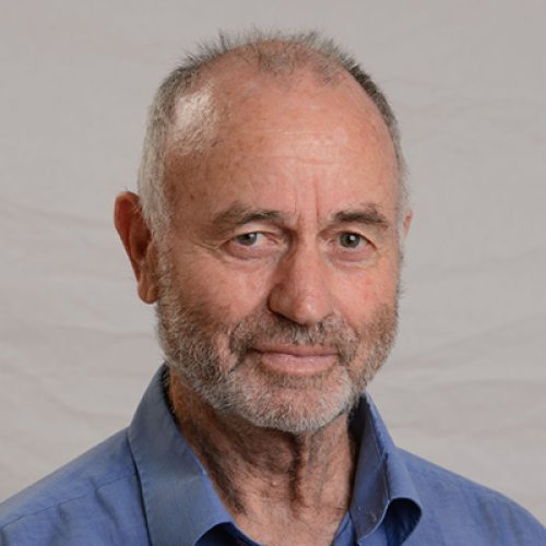 Avner Haramati - Member of the board